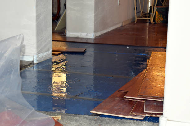 Professional Storm Water Damage Restoration technician working in Mount Carmel, PA